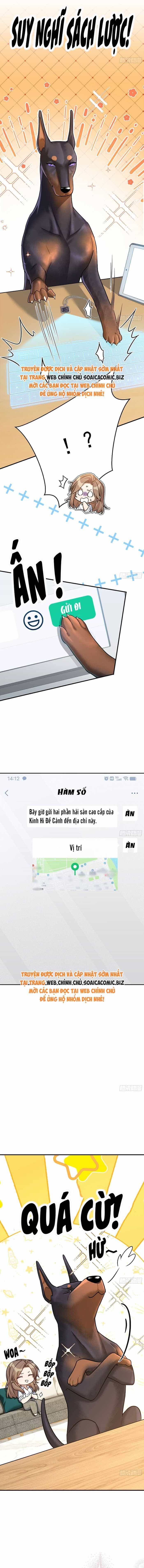 Tổng Tài Chó - Chương 8 - ảnh 8