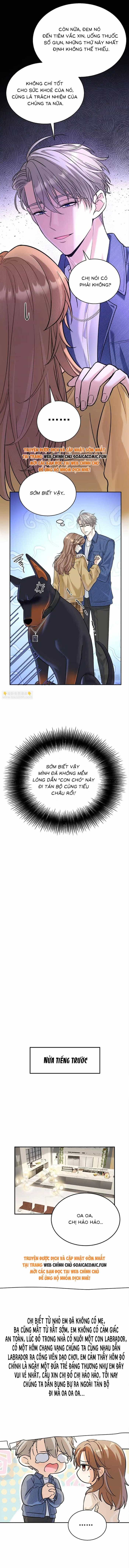 Tổng Tài Chó - Chương 13 - ảnh 3