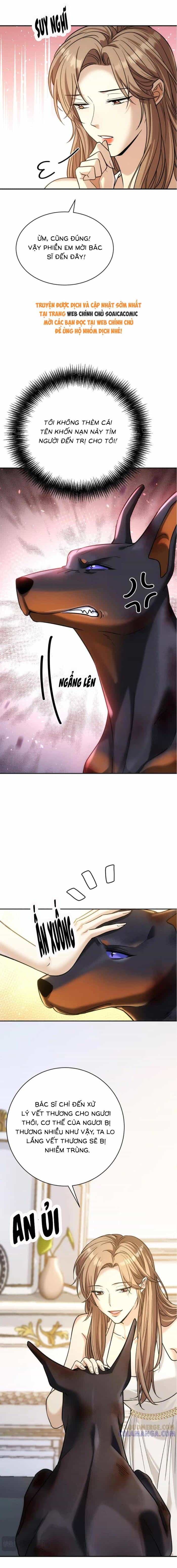Tổng Tài Chó - Chương 43 - ảnh 12