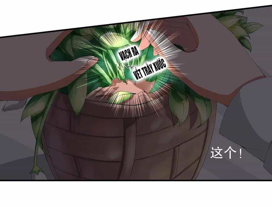 Tổng Tài! Đừng Trả Hàng Nha! - Chương 70 - ảnh 15