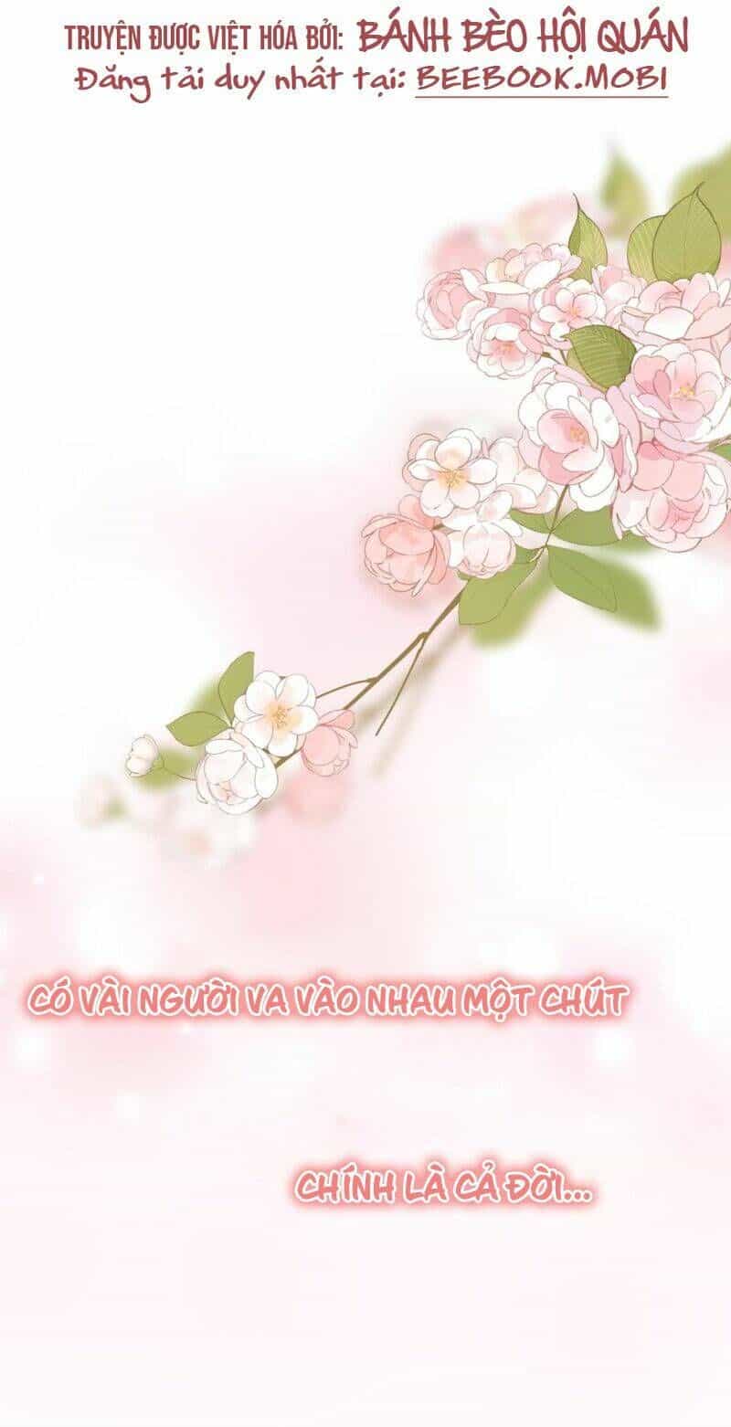 Tổng Tài Đuổi Vợ Lại Khóc Lóc Cầu Xin Vợ Quay Lại - Chương 0 - ảnh 2