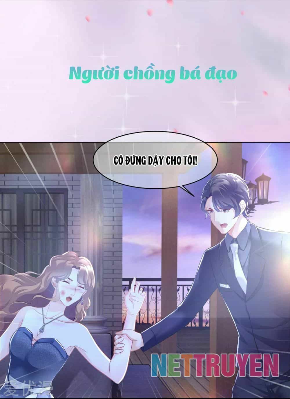 Tổng Tài Kiêu Ngạo: Vợ Yêu Em Đừng Chạy - Chương 0 - ảnh 7