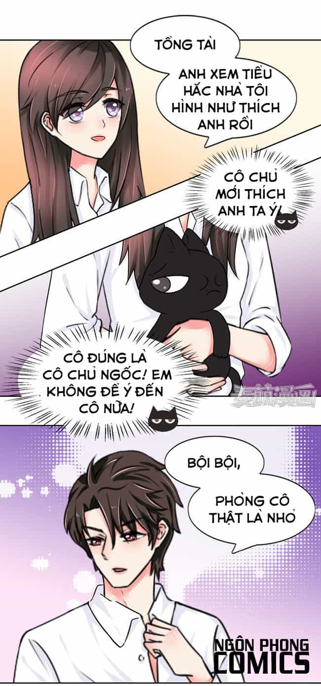 Tổng Tài Ma Cà Rồng Tha Cho Tôi - Chương 15 - ảnh 13