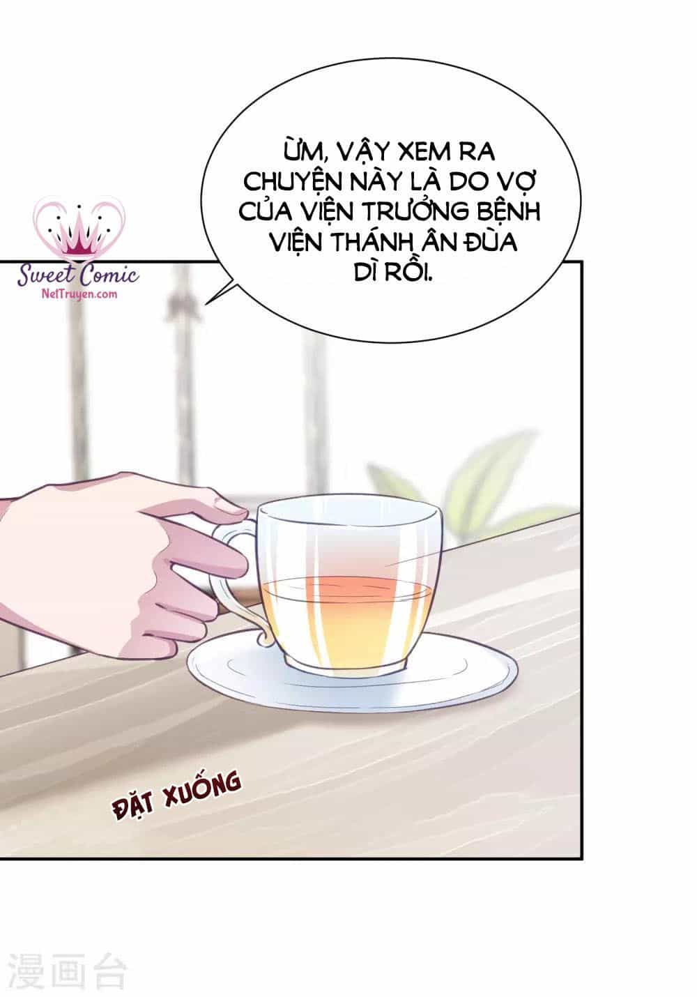 Tổng Tài Thịnh Sủng Tiền Thê - Chương 17 - ảnh 42