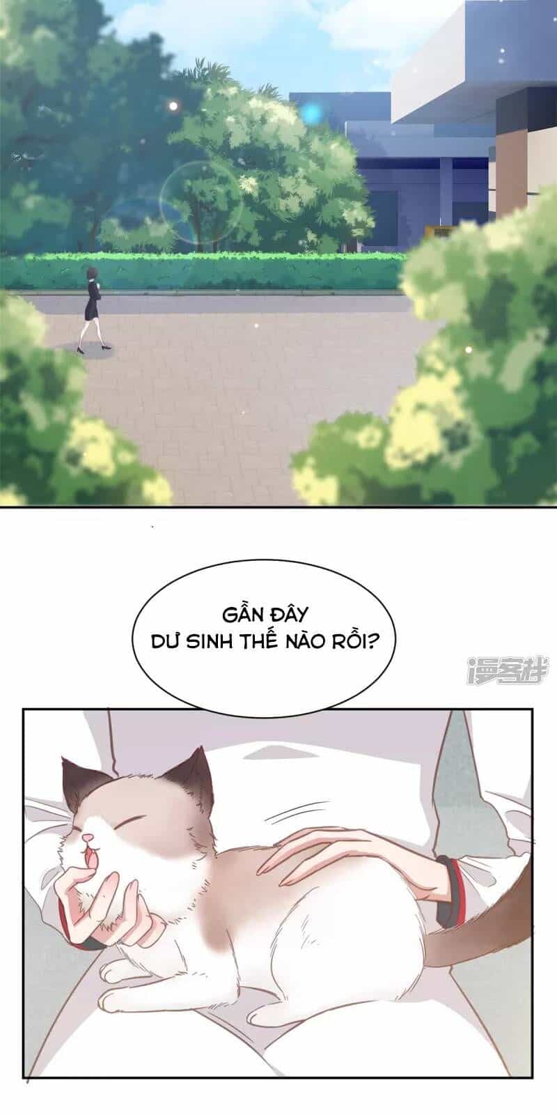 Tổng Tài, Tránh Xa Tôi Ra - Chương 11 - ảnh 18