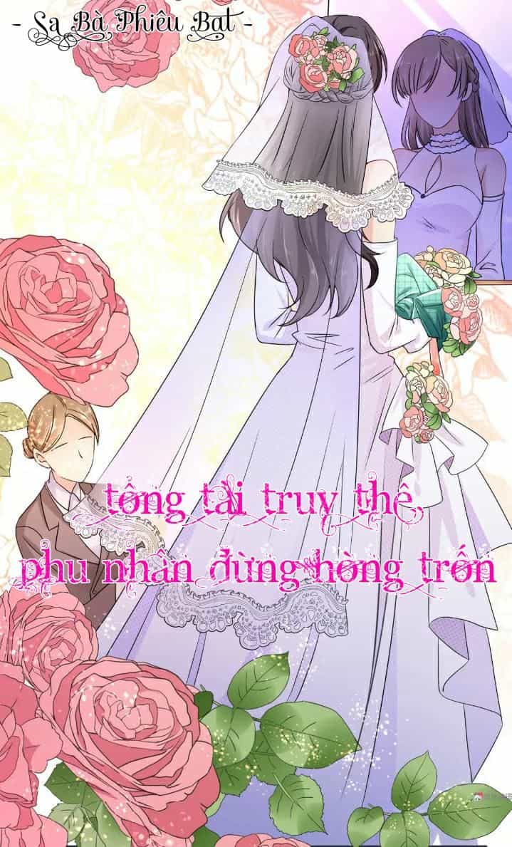 Tổng Tài Truy Thê: Phu Nhân Đừng Hòng Trốn - Chương 21 - ảnh 2