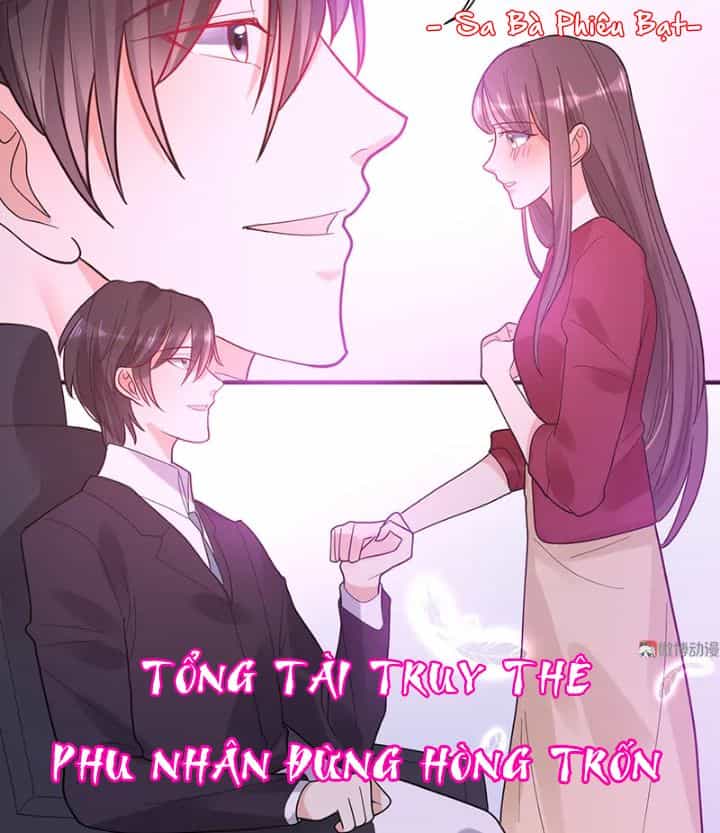 Tổng Tài Truy Thê: Phu Nhân Đừng Hòng Trốn - Chương 25 - ảnh 2