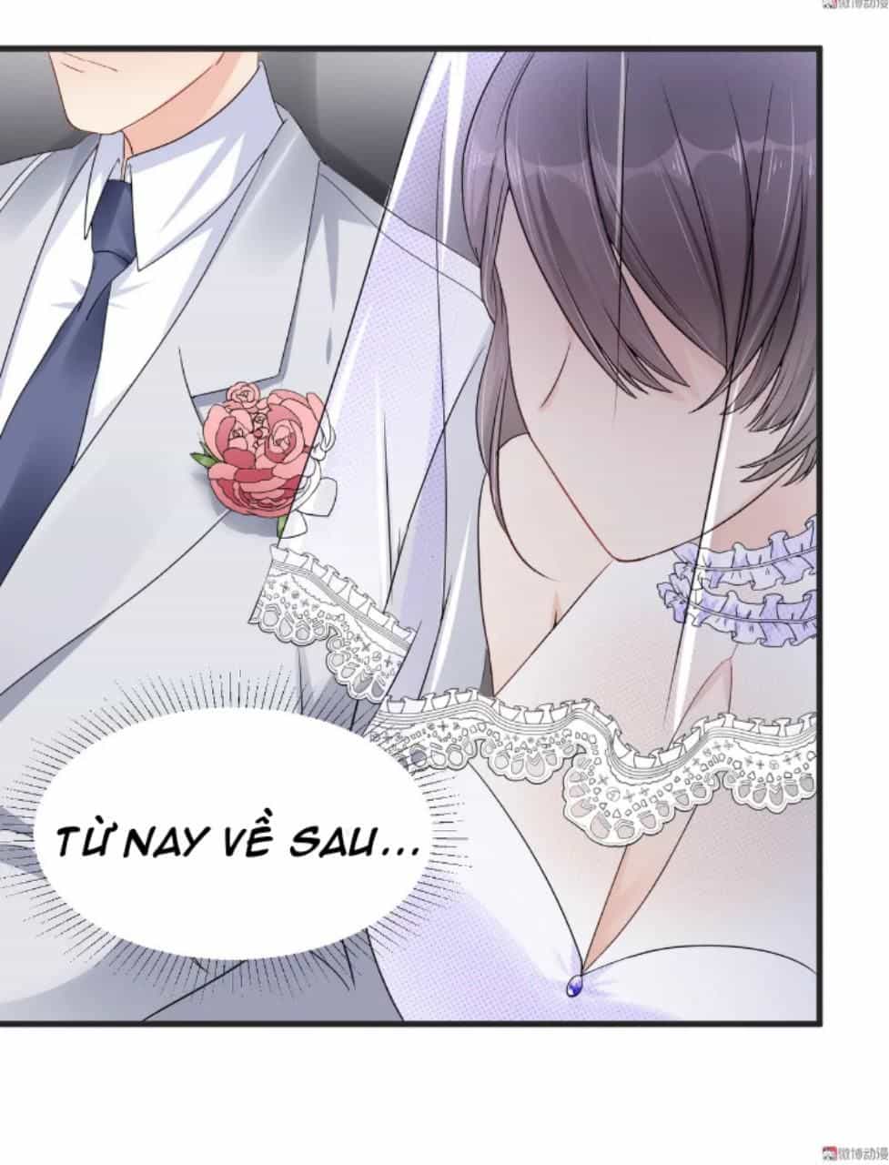 Tổng Tài Truy Thê: Phu Nhân Đừng Hòng Trốn - Chương 5 - ảnh 10