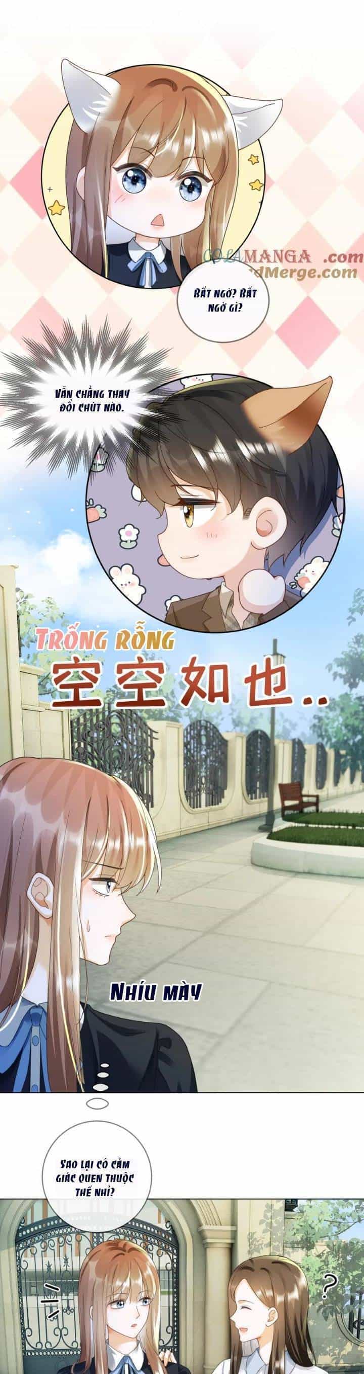 Tổng Tài Tỷ Phú Chỉ Sủng Cô Vợ Thế Thân - Chương 74 - ảnh 17