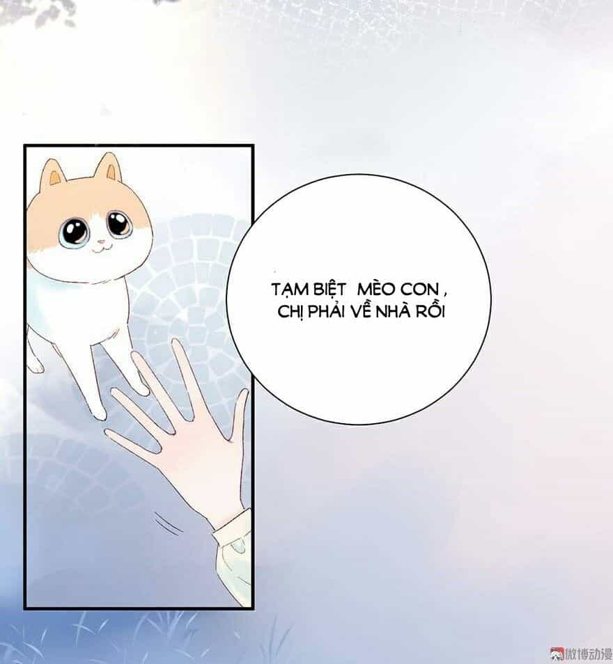 Tra Nam Cút Ra - Chương 5 - ảnh 17