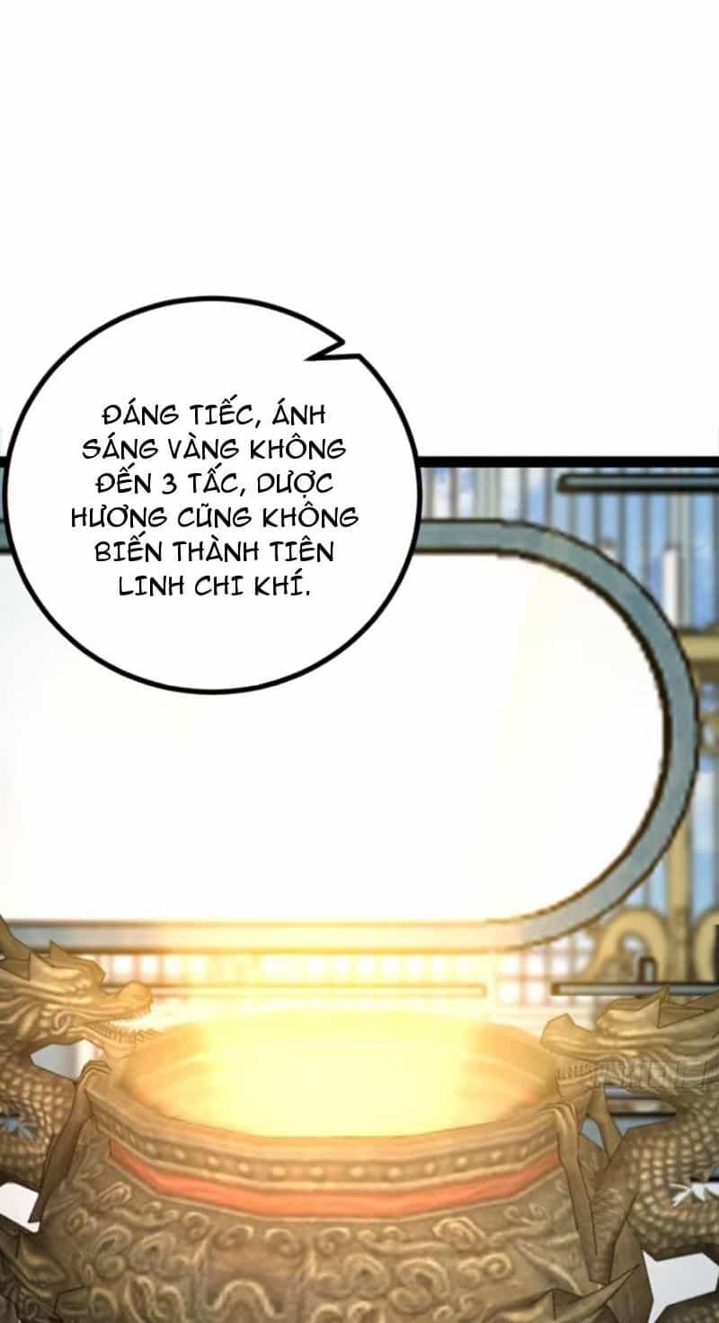 Trăm Tuổi Mở Hệ Thống, Hiếu Tử Hiền Tôn Quỳ Khắp Núi! - Chương 72 - ảnh 29