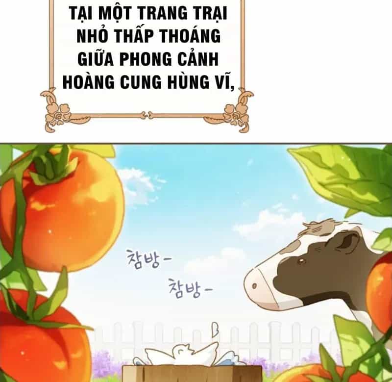 Trang Trại Hạt Dẻ Gần Cung Điện Hoàng Gia - Chương 125 - ảnh 11