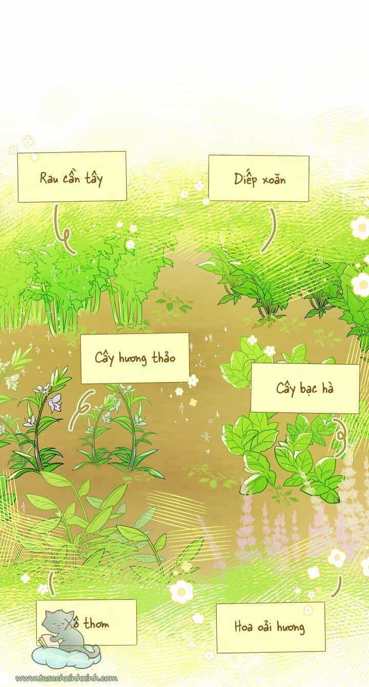 Trang Trại Hạt Dẻ Gần Cung Điện Hoàng Gia - Chương 4 - ảnh 13