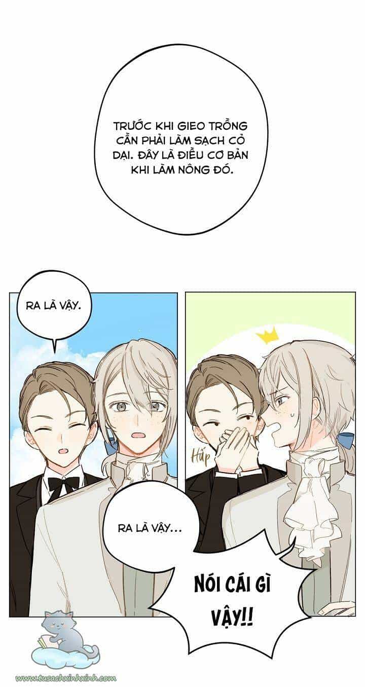 Trang Trại Hạt Dẻ Gần Cung Điện Hoàng Gia - Chương 4 - ảnh 30