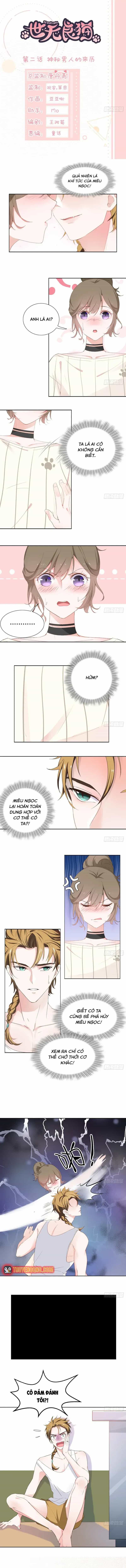 Trên Đời Không Có Mèo Tốt - Chương 2 - ảnh 3