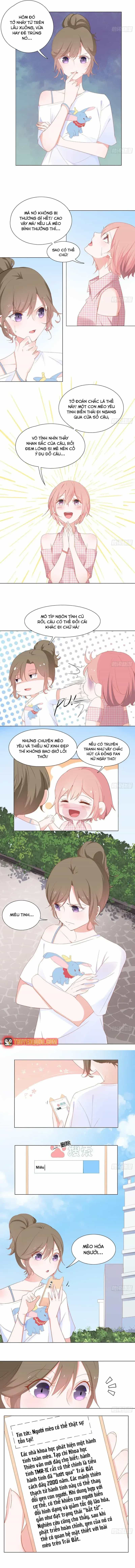 Trên Đời Không Có Mèo Tốt - Chương 2 - ảnh 6