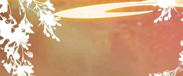 Trên Người Ta Có Một Cái Cây Thần Thoại - Chương 29 - ảnh 11