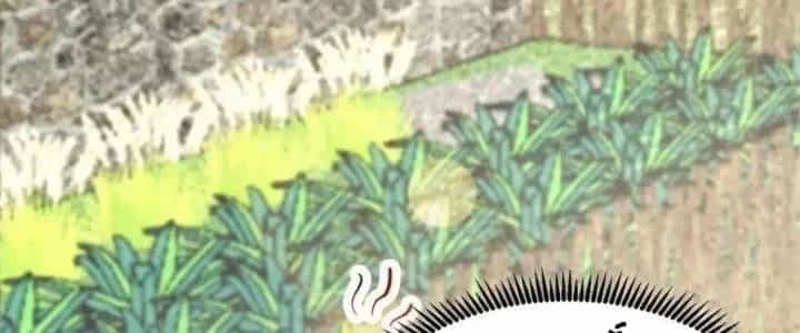 Trên Người Ta Có Một Cái Cây Thần Thoại - Chương 50 - ảnh 96