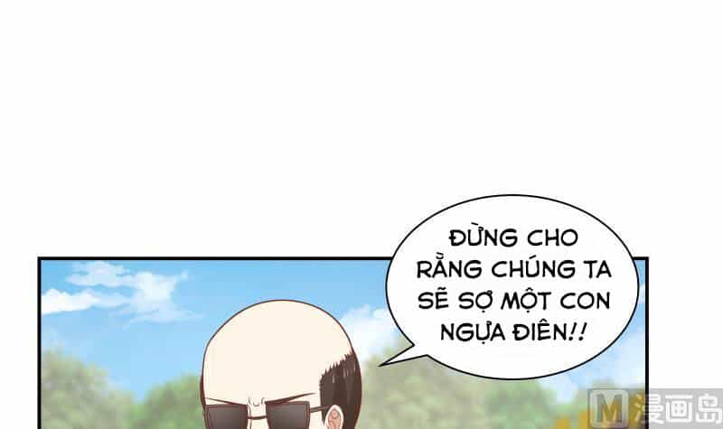 Trên Người Ta Có Một Con Rồng - Chương 284 - ảnh 21