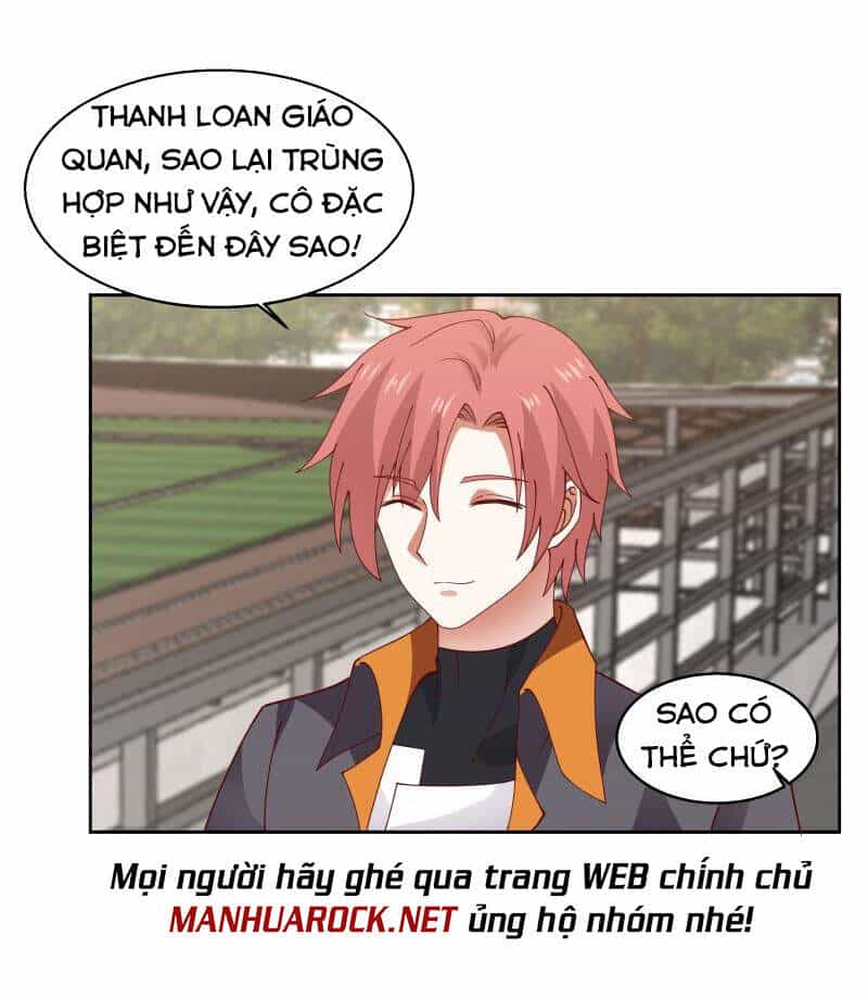 Trên Người Ta Có Một Con Rồng - Chương 401 - ảnh 14
