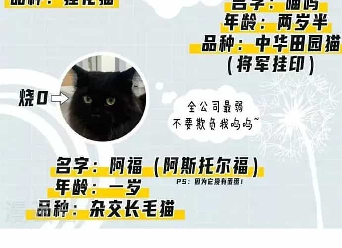 Triệu Hồi Sư Cuối Cùng - Chương 287 - ảnh 17
