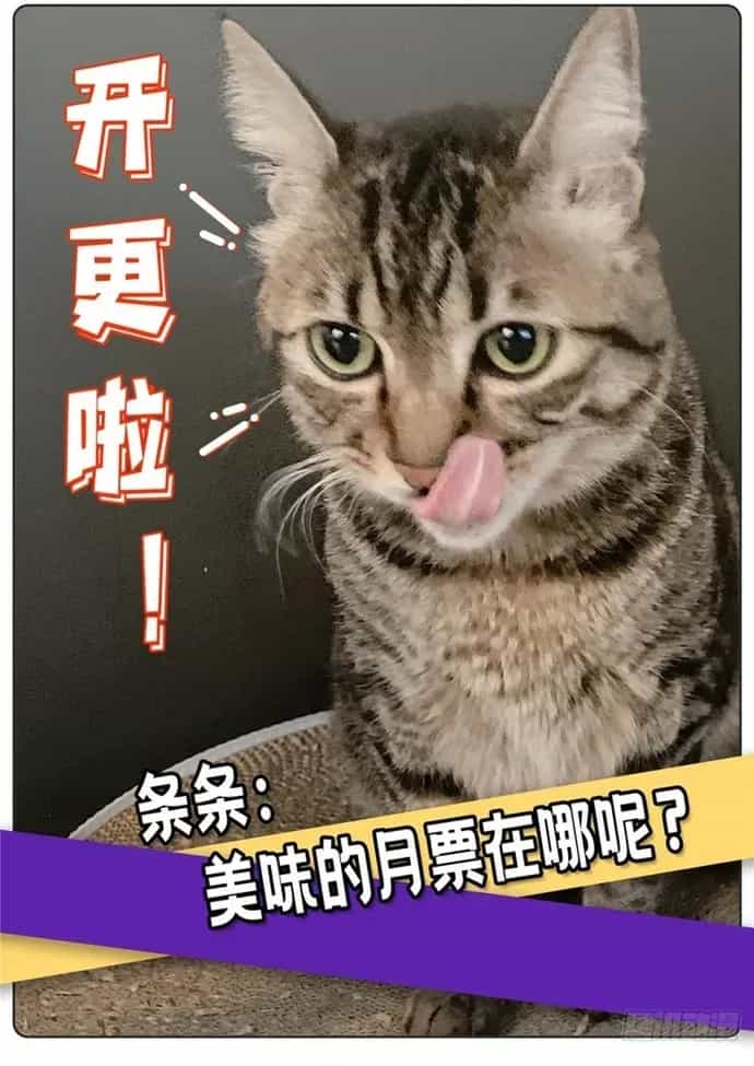 Triệu Hồi Sư Cuối Cùng - Chương 297 - ảnh 17
