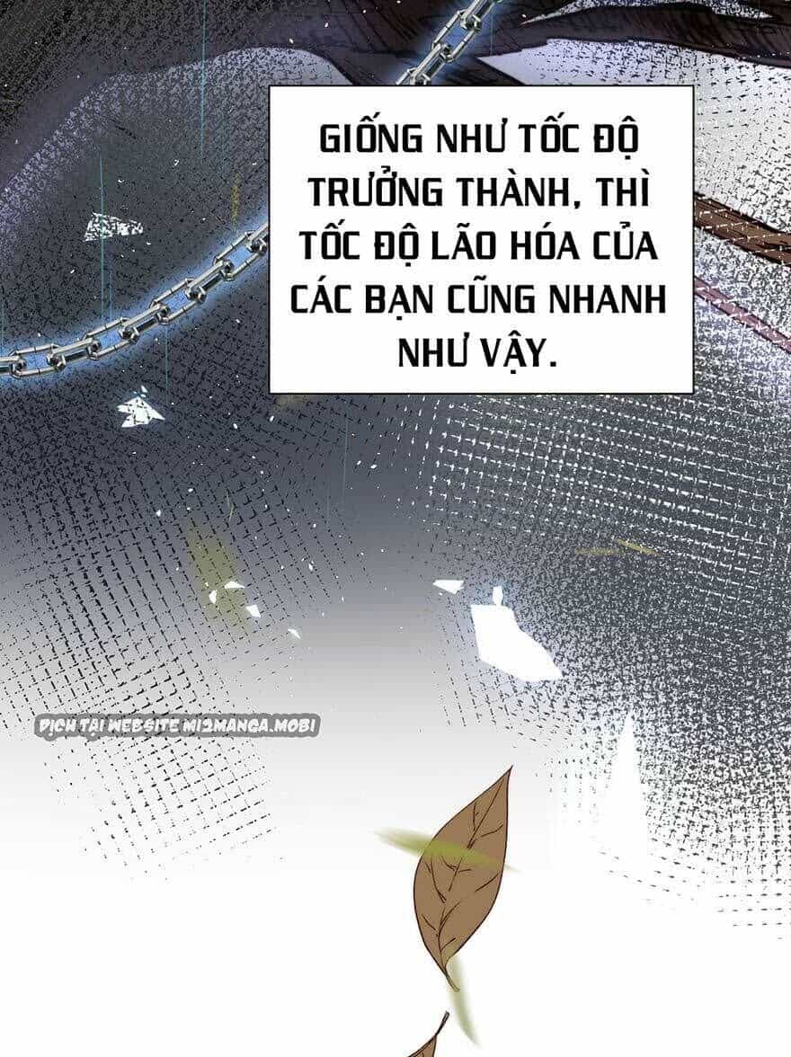 Triều Tây, Con Thích Chú - Chương 14 - ảnh 19