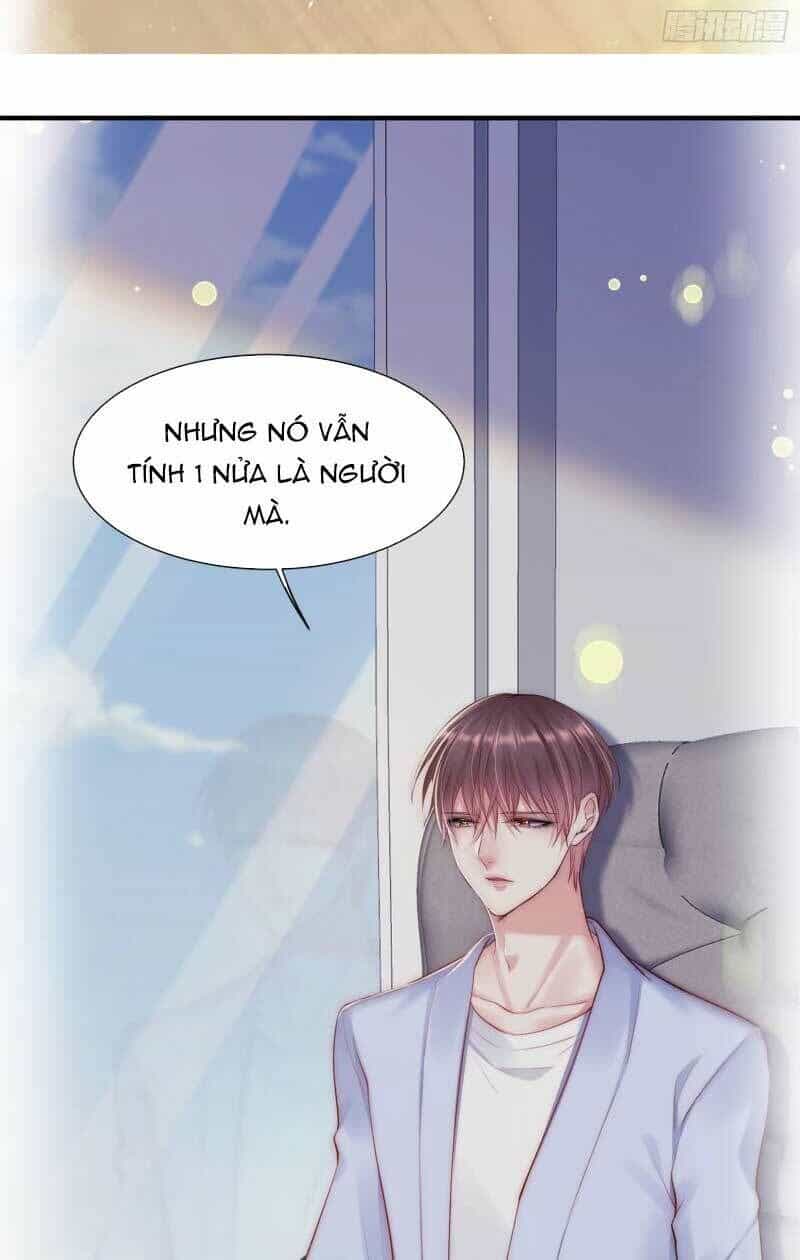 Triều Tây, Con Thích Chú - Chương 33.1 - ảnh 12