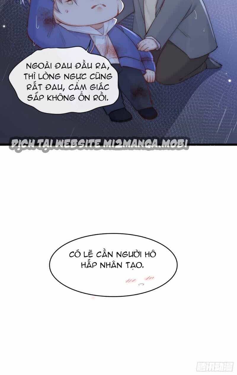 Triều Tây, Con Thích Chú - Chương 36 - ảnh 38