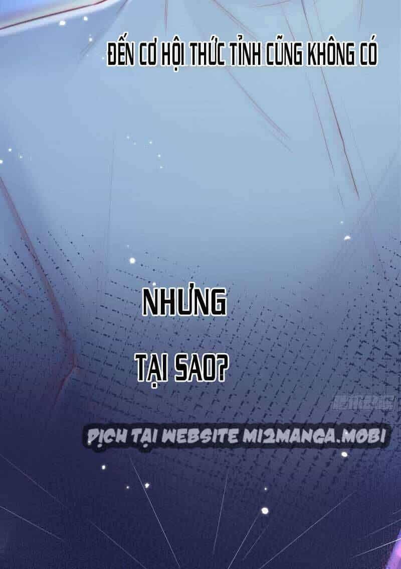 Triều Tây, Con Thích Chú - Chương 56 - ảnh 37