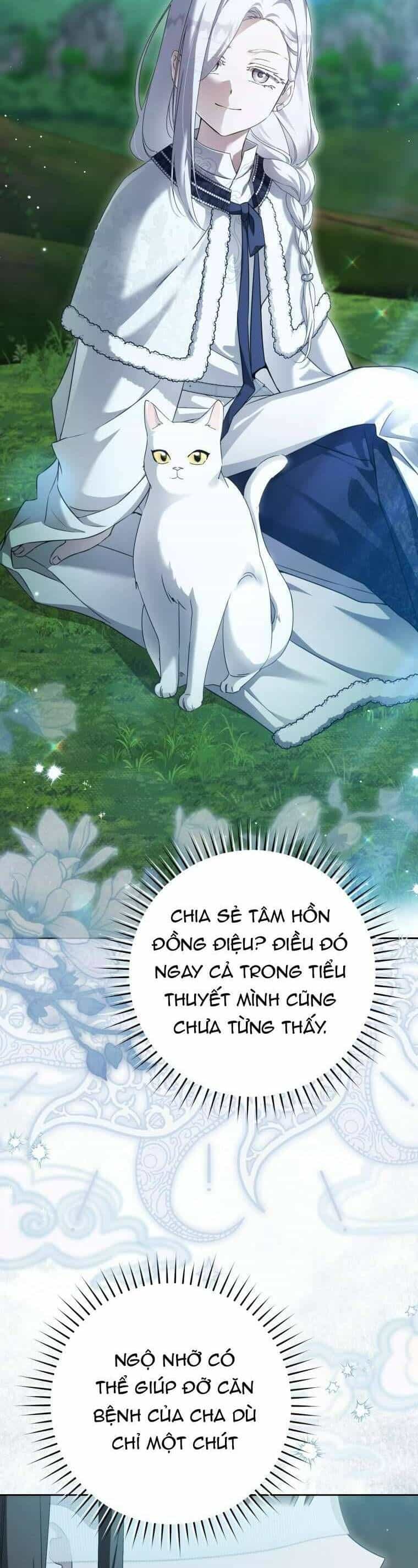 Trở Thành Cô Cháu Gái Bị Khinh Miệt Của Gia Tộc Võ Lâm - Chương 94 - ảnh 48
