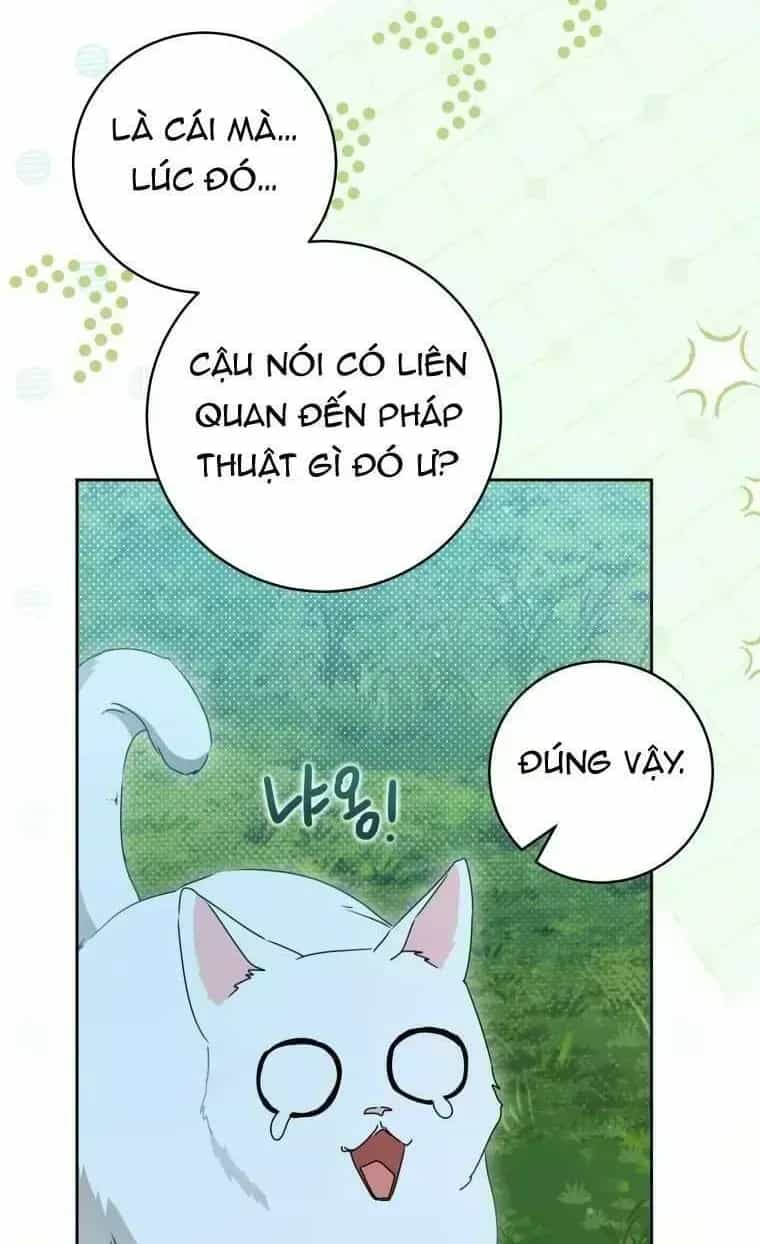 Trở Thành Cô Cháu Gái Bị Khinh Miệt Của Gia Tộc Võ Lâm - Chương 94.5 - ảnh 62