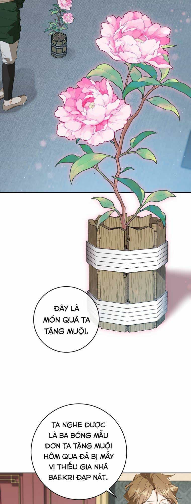 Trở Thành Cô Cháu Gái Bị Khinh Miệt Của Gia Tộc Võ Lâm - Chương 25 - ảnh 24