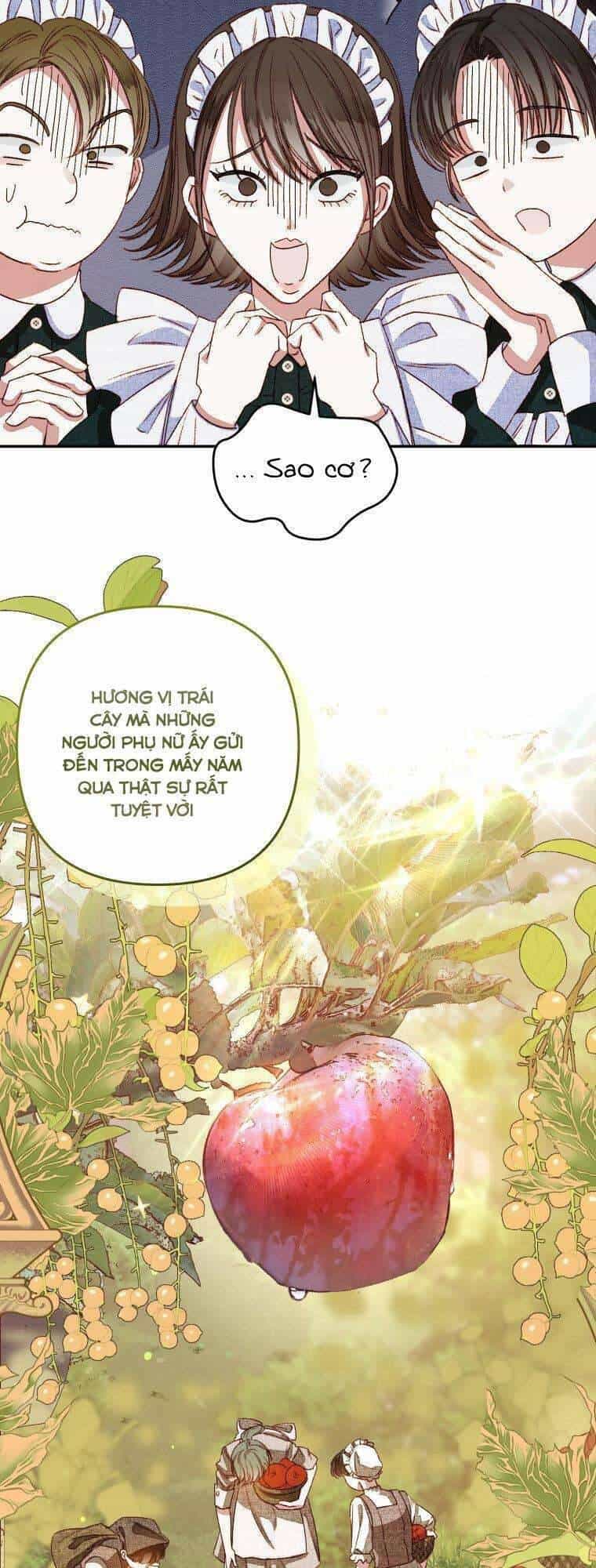 Trở Thành Hầu Nữ Còn Quan Trọng Hơn Là Làm Công Chúa - Chương 3 - ảnh 19