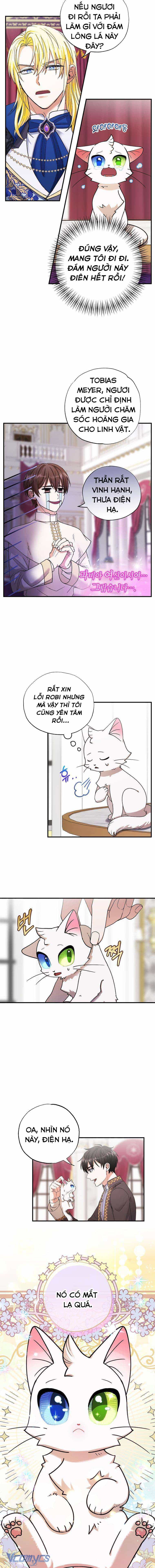 Trở Thành Miêu Nữ Của Hoàng Đế - Chương 1 - ảnh 10