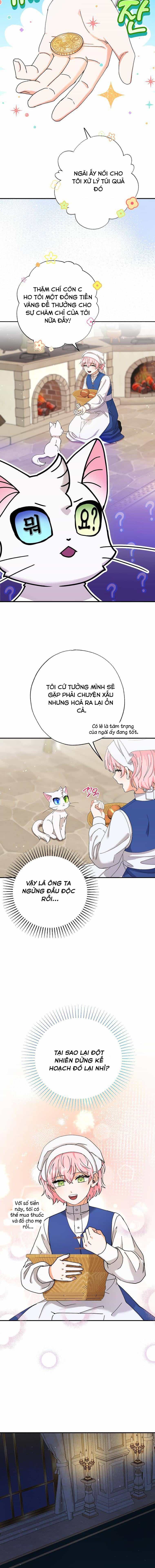 Trở Thành Miêu Nữ Của Hoàng Đế - Chương 12 - ảnh 8