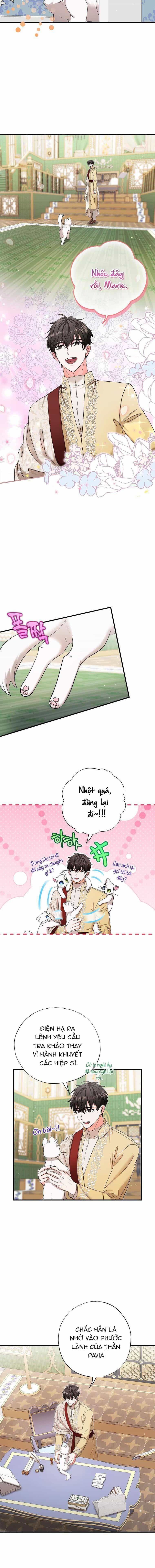 Trở Thành Miêu Nữ Của Hoàng Đế - Chương 17 - ảnh 8