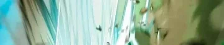 Trở Thành Người Bảo Trợ Cho Những Kẻ Phản Diện - Chương 35 - ảnh 212
