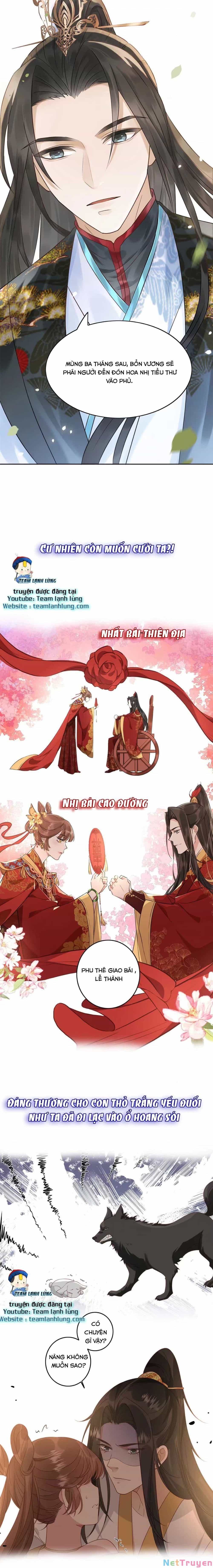Trở Thành Nữ Phụ Ác Độc Chinh Phục Vương Gia - Chương 1 - ảnh 6