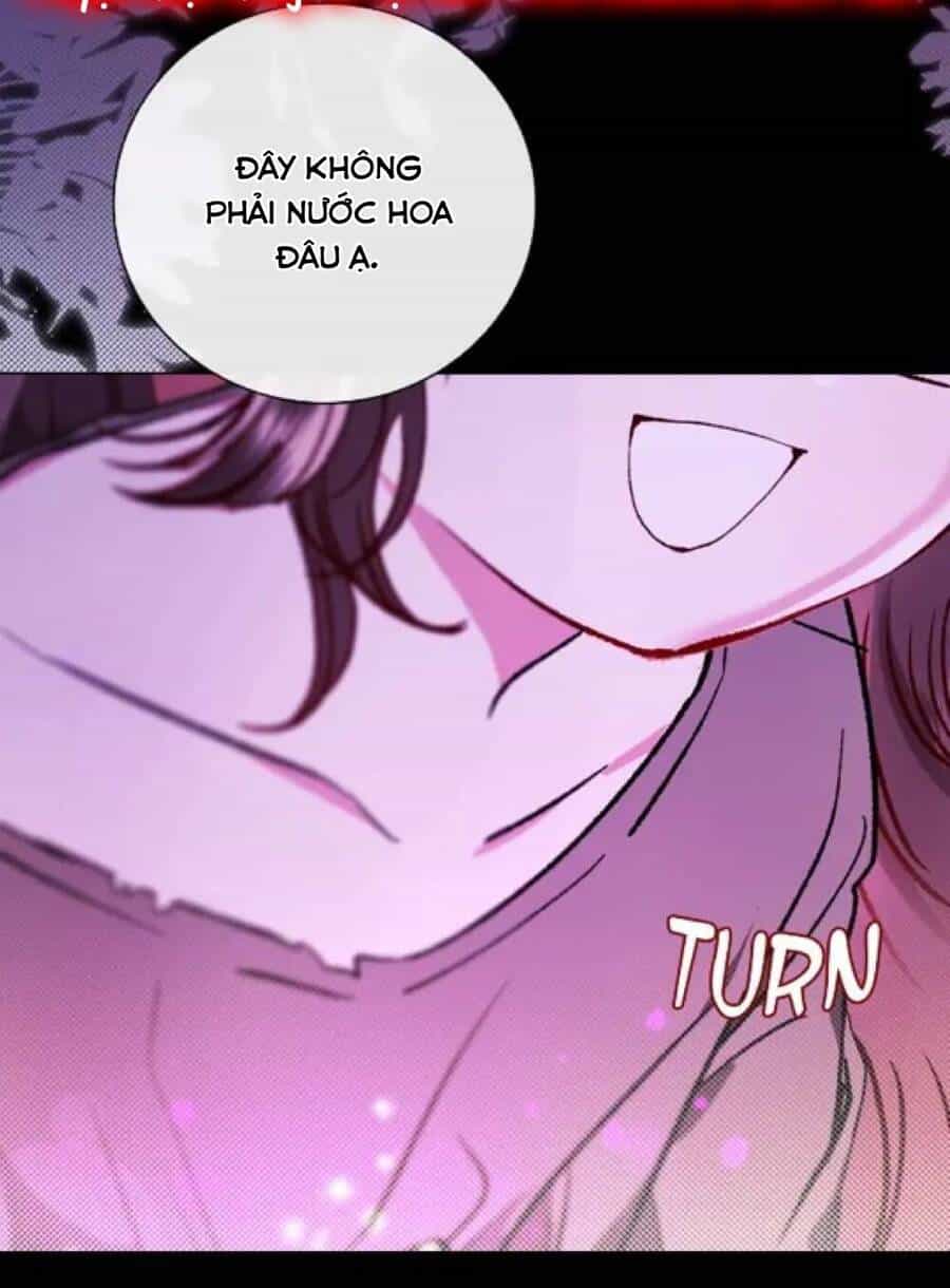 Trở Thành Tiểu Thư Xấu Xí - Chương 109 - ảnh 72