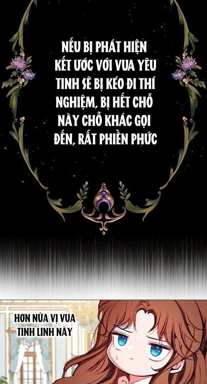 Trở Thành Tiểu Thư Xấu Xí - Chương 21 - ảnh 16