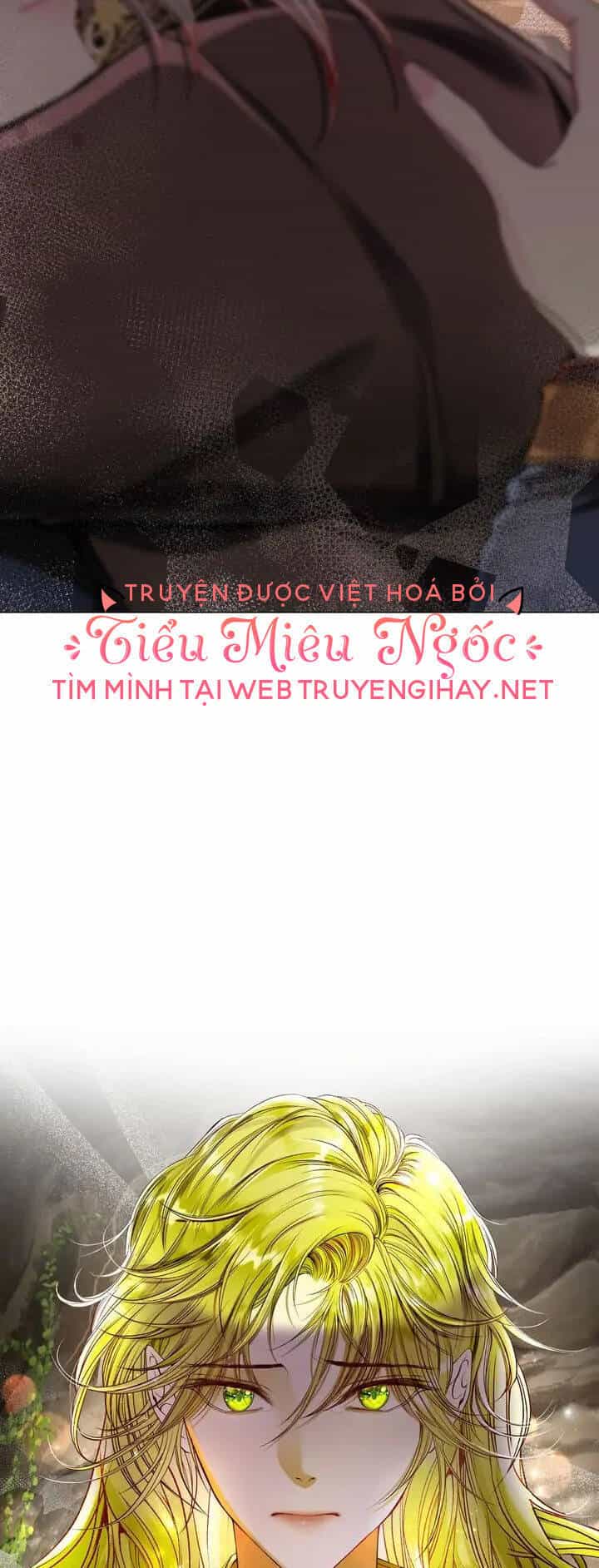 Trở Thành Tiểu Thư Xấu Xí - Chương 84 - ảnh 65