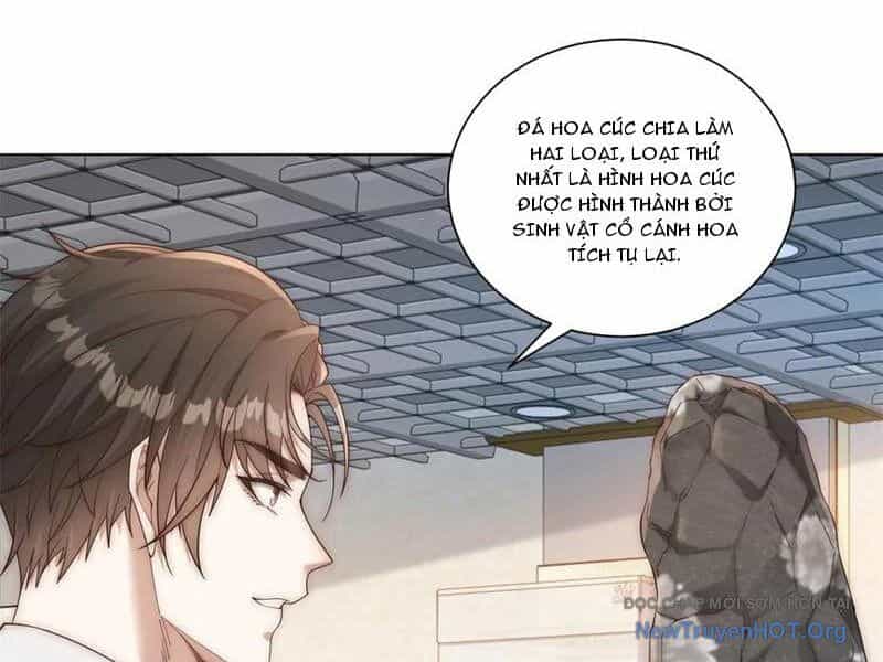 Trở Thành Vô Địch Bằng Hệ Thống Giảm Giá Trị - Chương 39 - ảnh 26