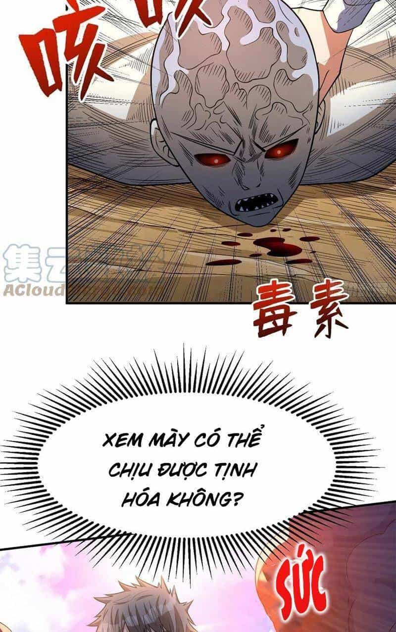 Trở Về Làm Đại Lão Thời Mạt Thế - Chương 254 - ảnh 24