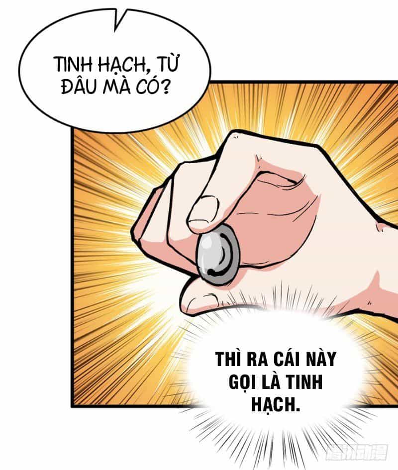 Trở Về Làm Đại Lão Thời Mạt Thế - Chương 4 - ảnh 10