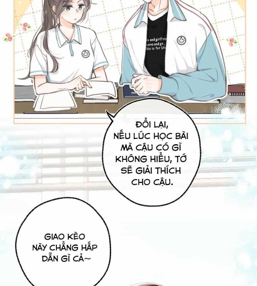 Trong Giấc Mộng Của Tôi - Chương 11 - ảnh 13