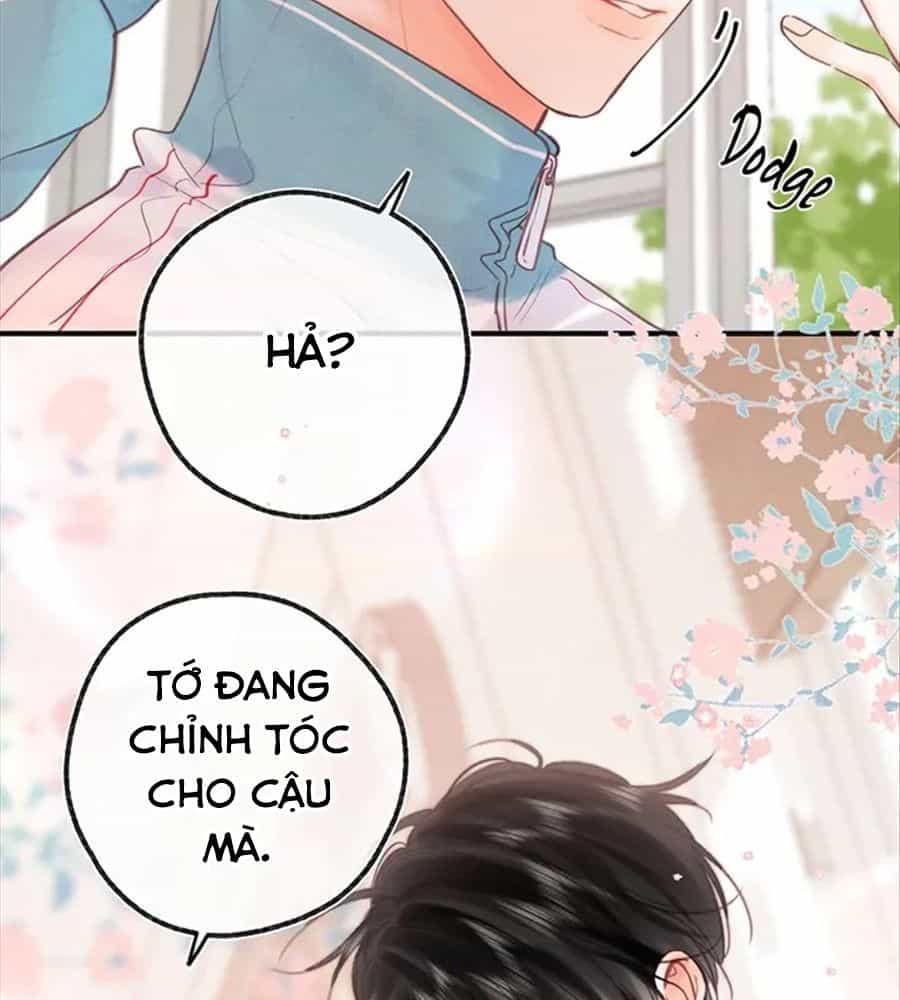 Trong Giấc Mộng Của Tôi - Chương 29 - ảnh 65