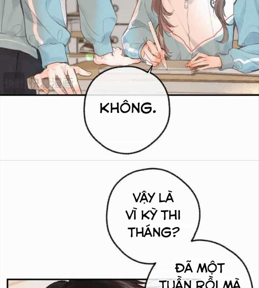 Trong Giấc Mộng Của Tôi - Chương 31 - ảnh 11