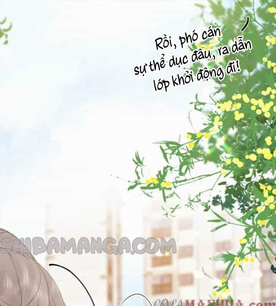 Trong Giấc Mộng Của Tôi - Chương 31 - ảnh 42