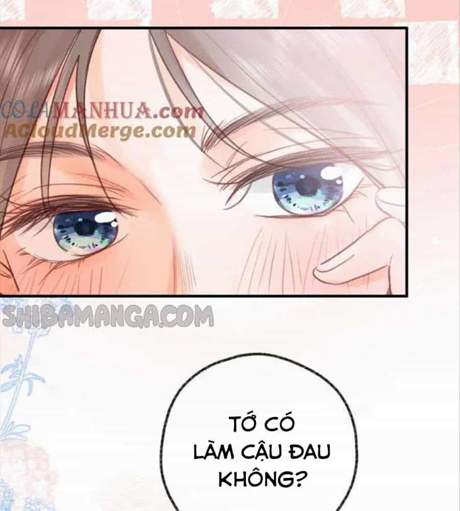 Trong Giấc Mộng Của Tôi - Chương 33 - ảnh 46